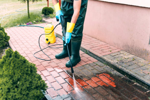 Best Affordable Pressure Washing  in Hornell, NY