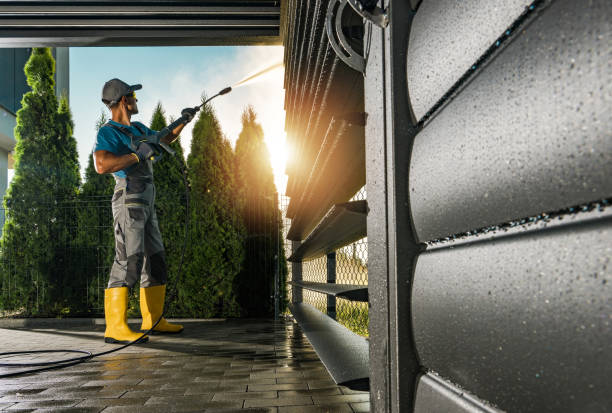 Best Pressure Washing Patio  in Hornell, NY