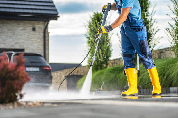 Best Exterior Home Cleaning  in Hornell, NY